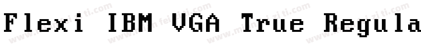 Flexi IBM VGA True Regular字体转换